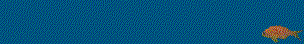 [bubbling anthia]