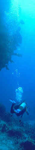 [photo of diver (5Kb)]