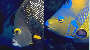 thumbnail202