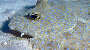 thumbnail204
